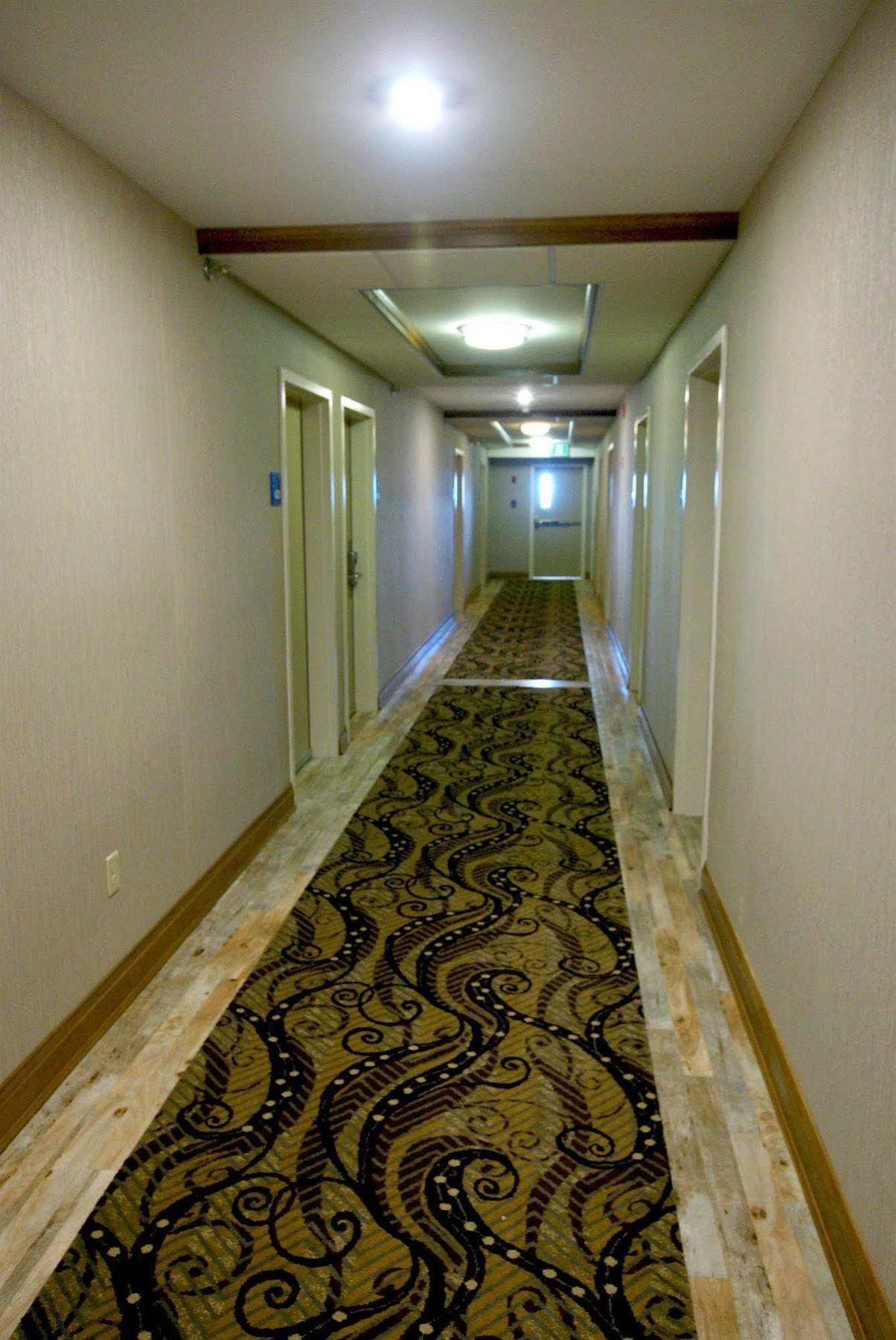 Holiday Inn Express Hotel & Suites Uptown Fredericton By Ihg Экстерьер фото